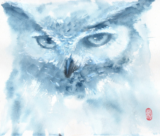 owl