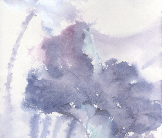 atmosphere2 -lotus