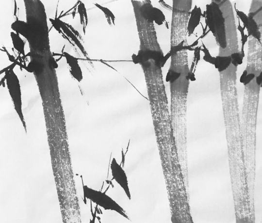 bamboo