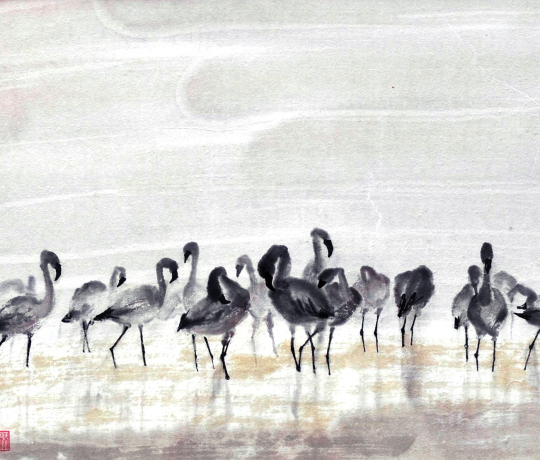 harmony