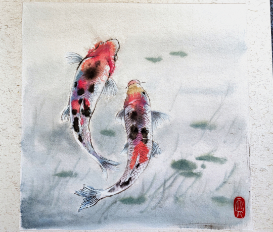 koi