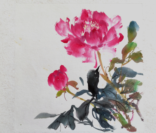 peony