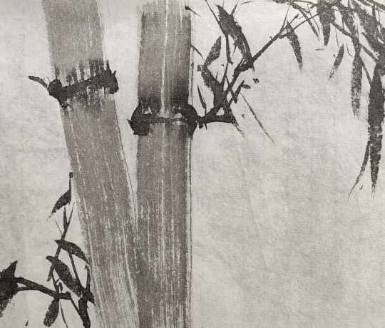 bamboo
