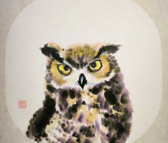 owl