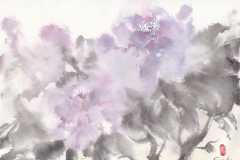 purple peony