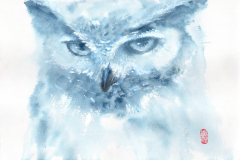 owl