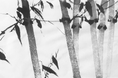 bamboo