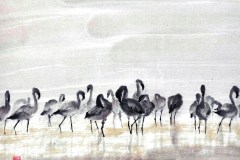 harmony