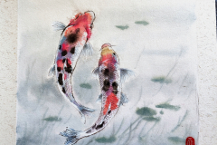 koi