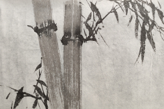 bamboo