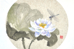 aroma