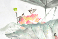 lotus with birds