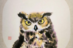 owl