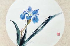 iris